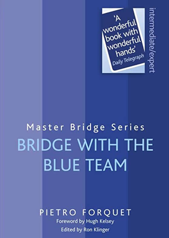 Bridge with the blue team