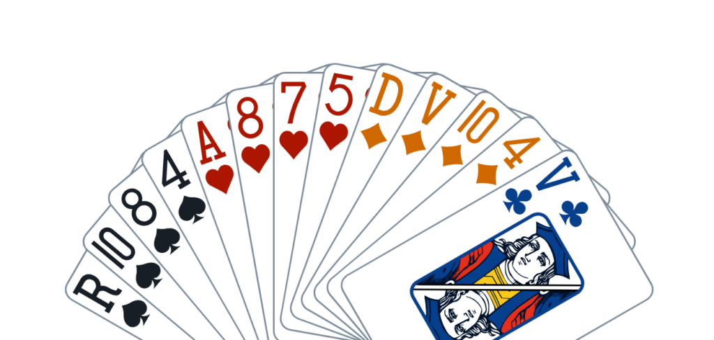 Léo Rombaut (Team Funbridge) médaille d’or en DN1 par paires ! – Blog ...